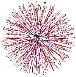3D branching fungal mycelia